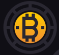 BITPAYS LTD logo