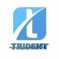 Trident Crypto Fund logo