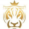Tiger King Coin (TKING) logo