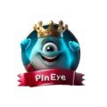 Pineye logo