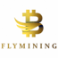 FlyMining logo