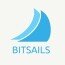 BitSails logo