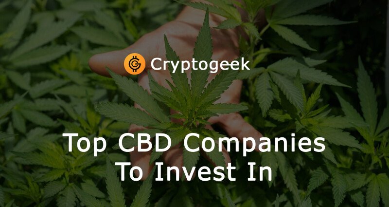 Top CBD Companies To Invest In