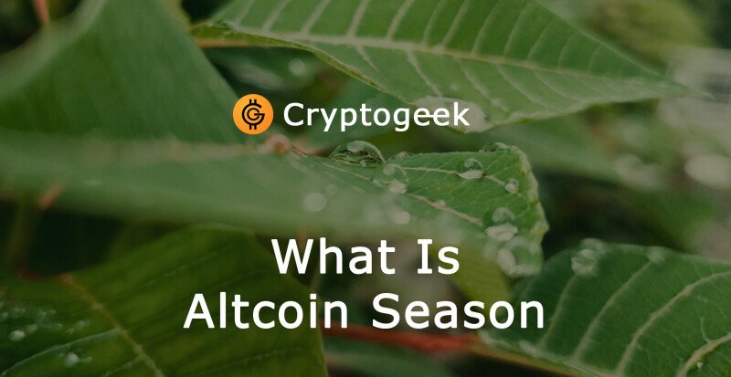The ‘Summer’ Season Of The Crypto Market: What Is ‘Altcoin Season’?
