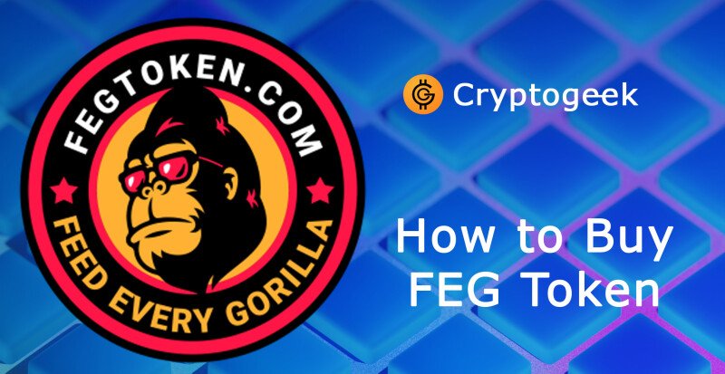 Where and How to Buy FEG Token in 2022?