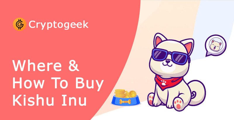 Where and How To Buy Kishu Inu Coin