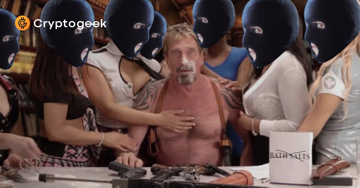 John Mcafee Und Sein Vermogen 2020 Wie Reich Ist Crypto Jesus